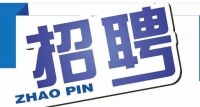 岱岳區(qū)政務(wù)服務(wù)中心招人啦！大專以上學(xué)歷，即日起報(bào)名
