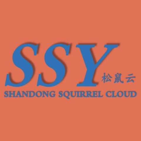 山東松鼠云網(wǎng)絡科技有限公司